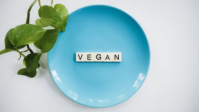 Plant-Based Delights